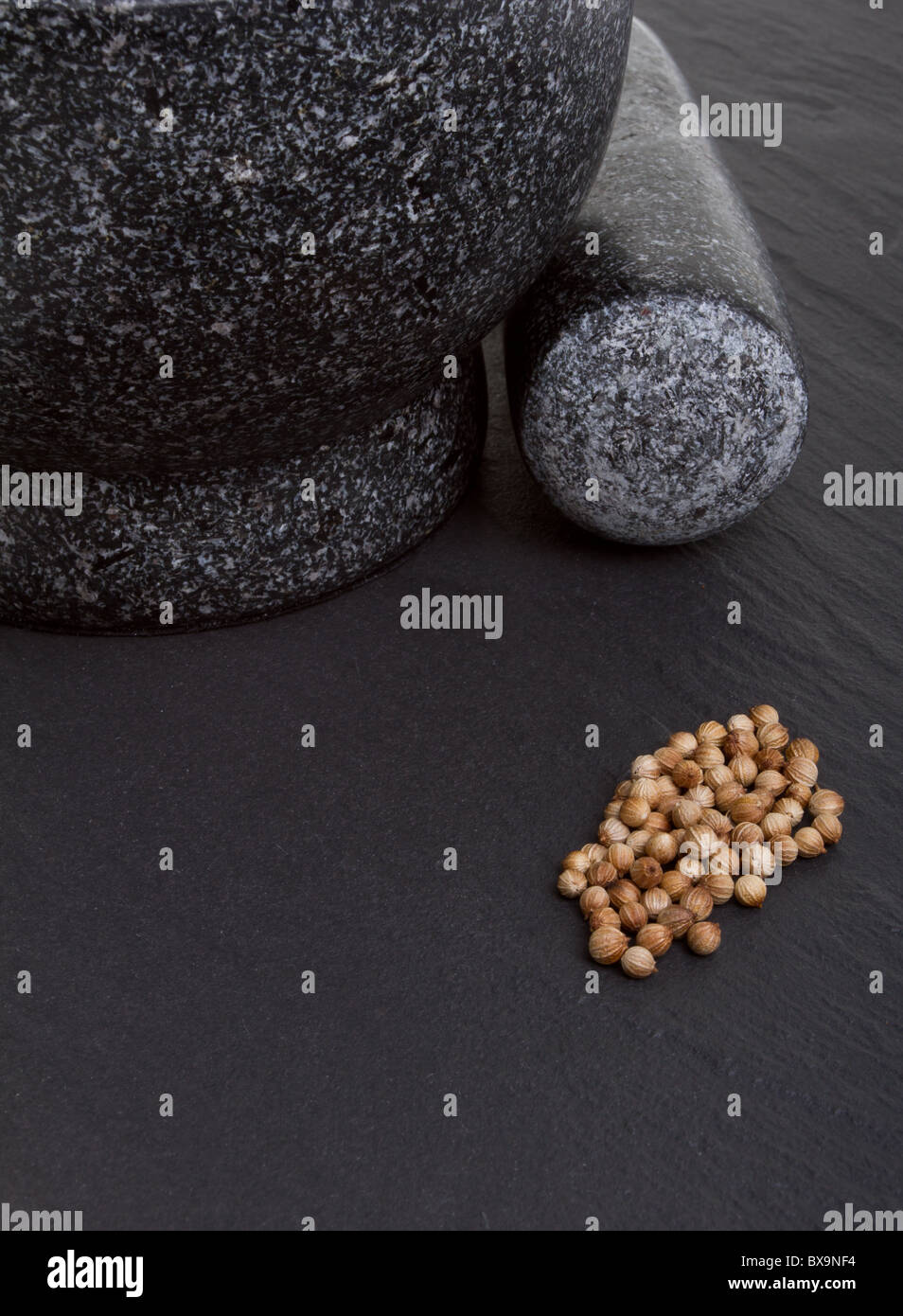 Dried Coriander seeds on dark slate background with mortar and pestle. Stock Photo