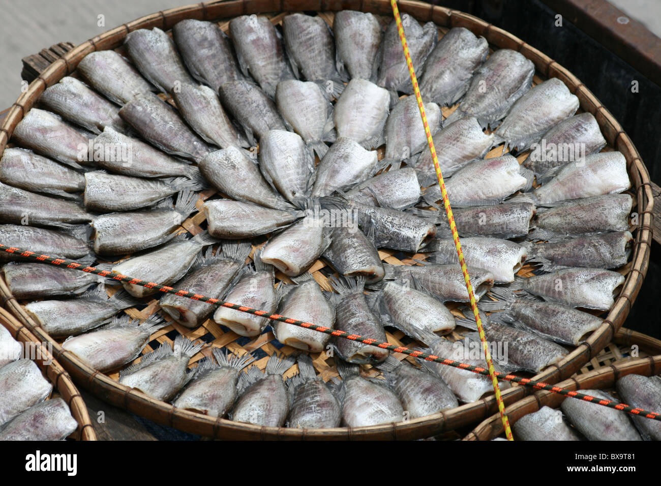 Fish drying in the sun in Bangkok, Thailand Stock Photo Alamy