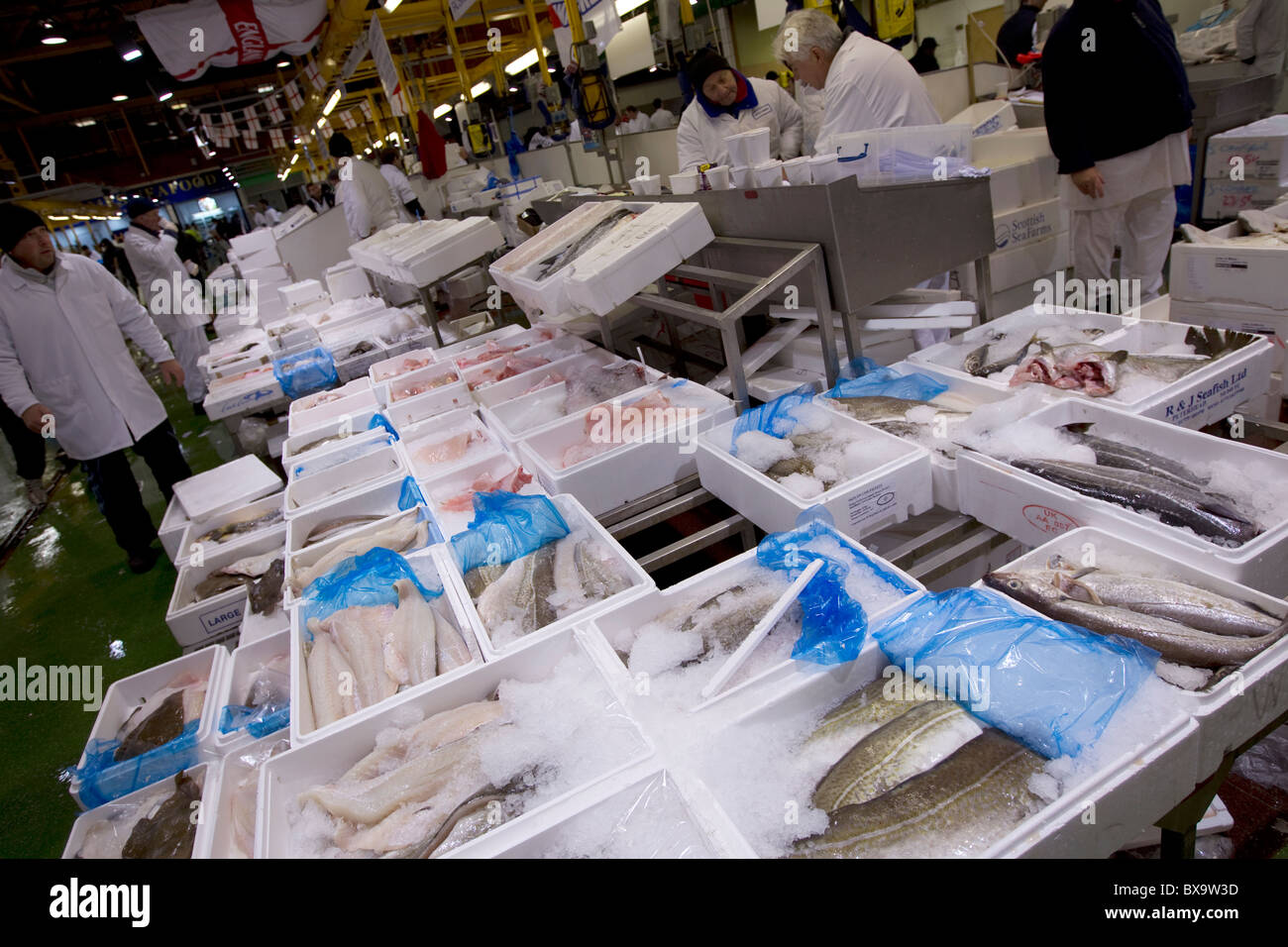 Billingsgate fish market,London,England Stock Photo Alamy