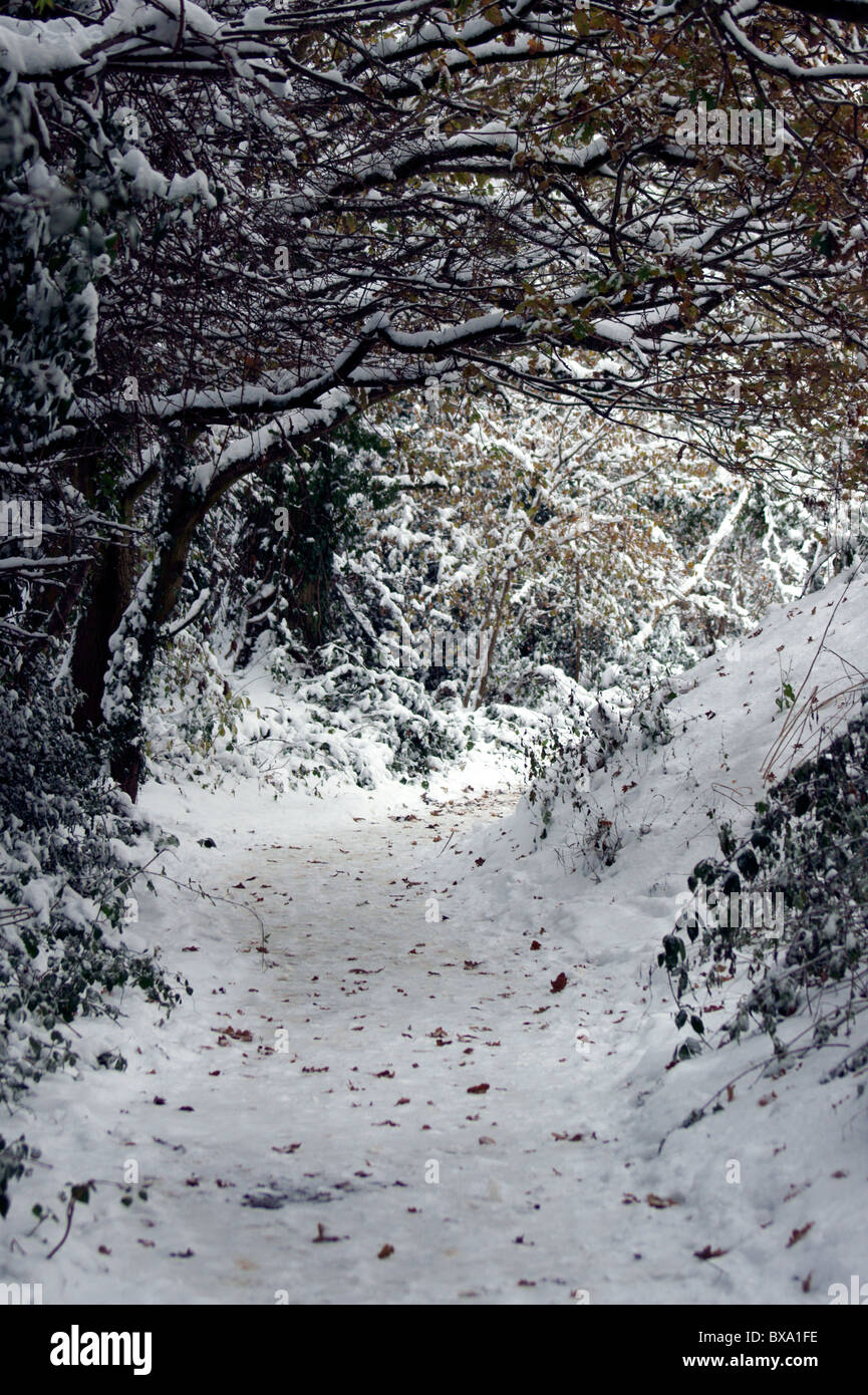 WINTER PATH WAY Stock Photo - Alamy