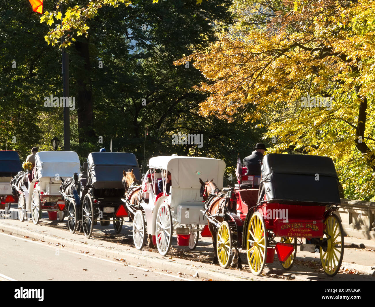 Carriage Ride, Central Park, NYC Stock Photo