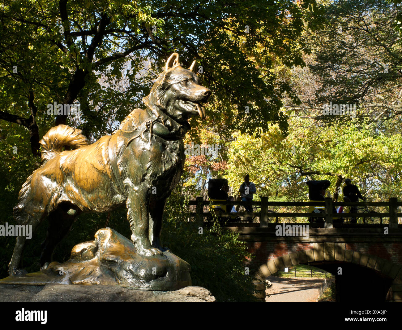 Sled Dog Statue, Balto, in Central Park NYC Stock Photo Alamy