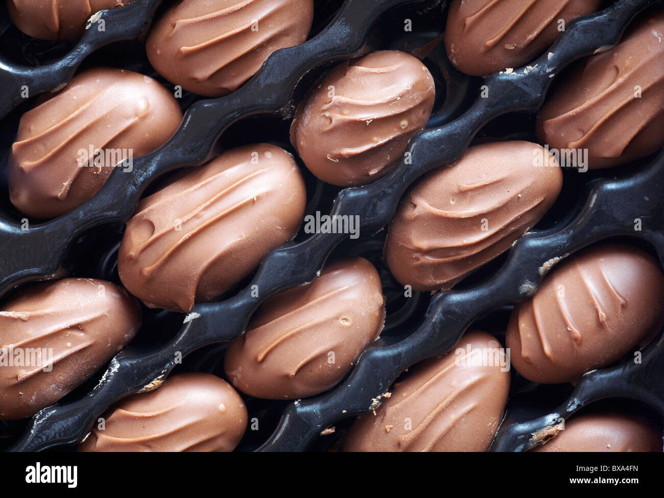 Marks and Spencer Milk Chocolate coated brazil nuts in box Stock Photo