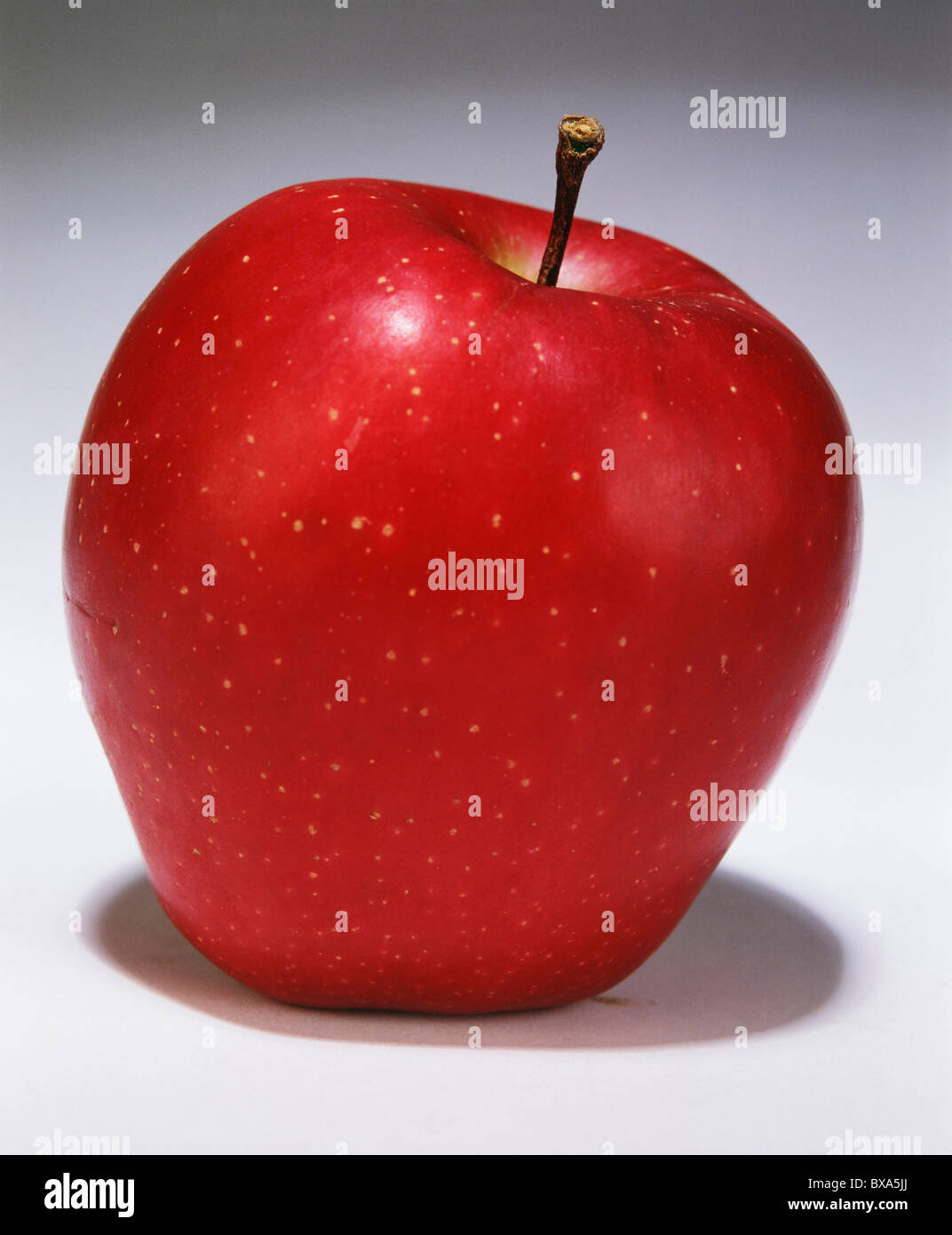 CLOSEUP OF RED DELICIOUS APPLE/STUDIO Stock Photo Alamy