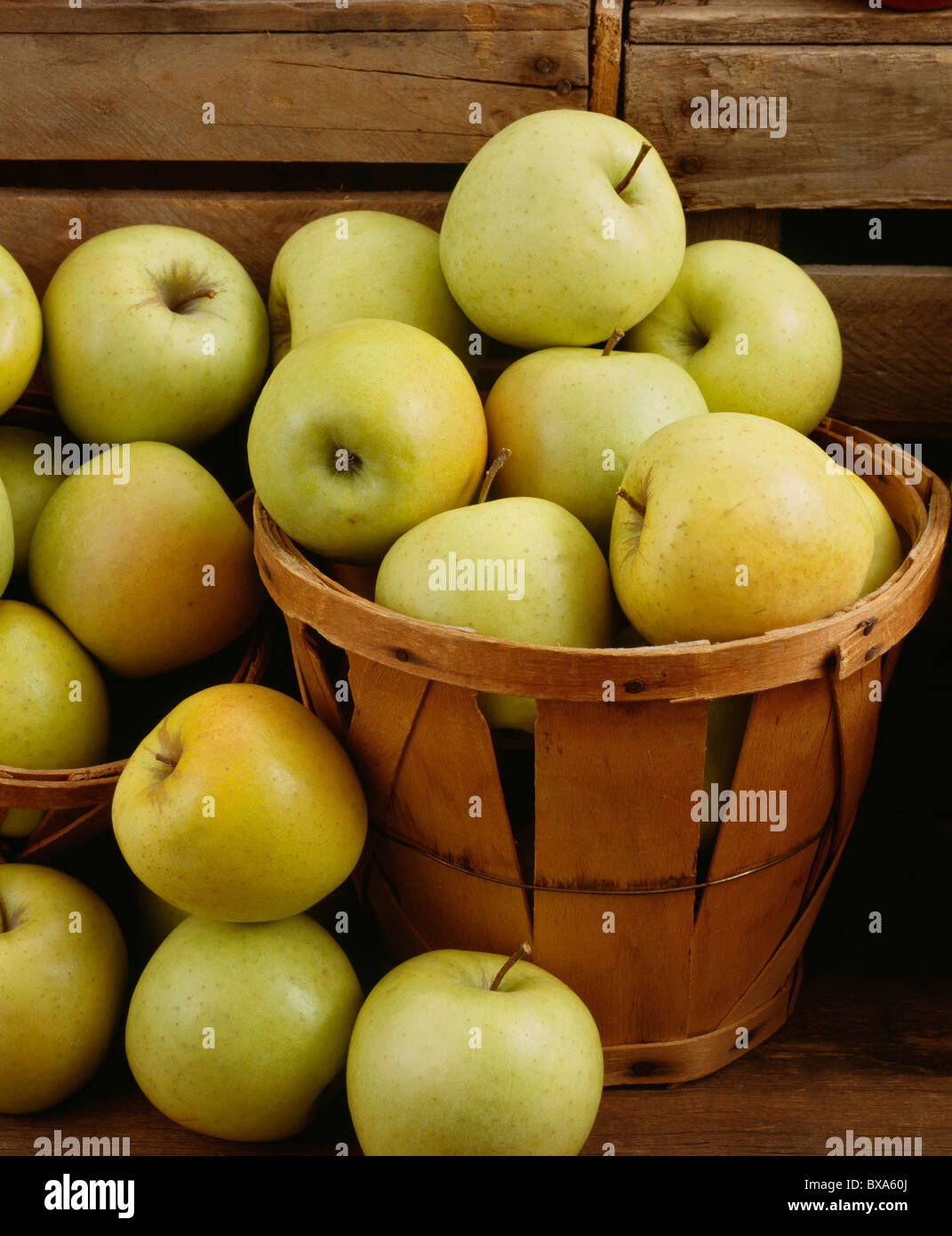GOLDEN DELICIOUS APPLES / STUDIO Stock Photo Alamy