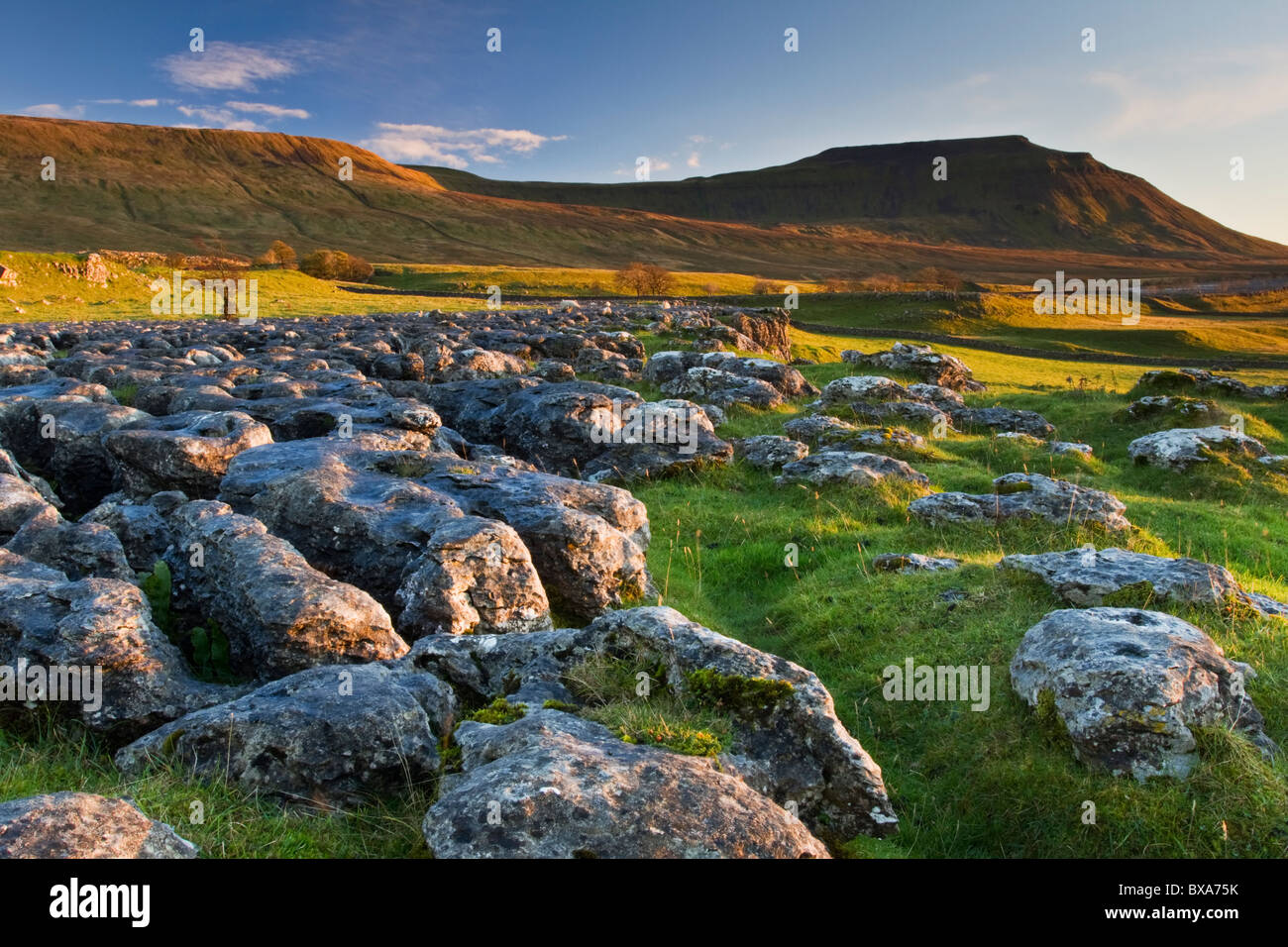 Limestone 'pavement' at Southerscales Scar looking toward Inglebrough at sunset, Yorkshire Dales National Park, England Stock Photo