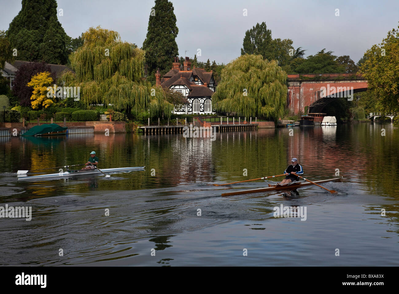 Rowers on The River Thames, Maidenhead, Berkshire, England Stock Photo