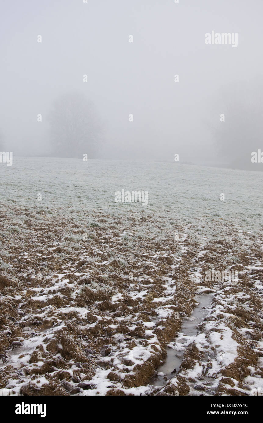 Freezing fog in a Welsh farmer's  muddy field Stock Photo