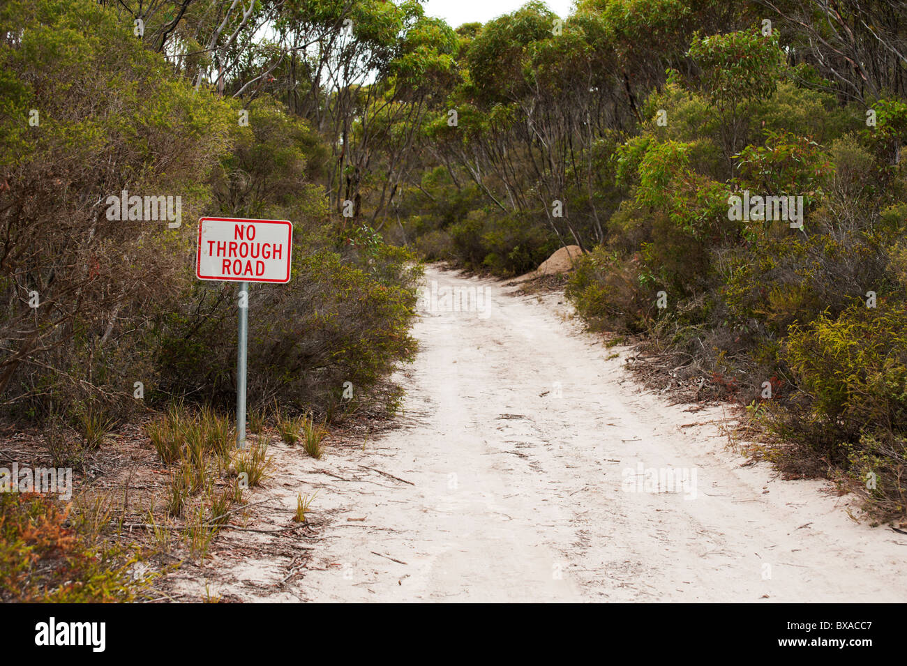 A sandy track through mallee scrub and a 'no through road' sign. Stock Photo