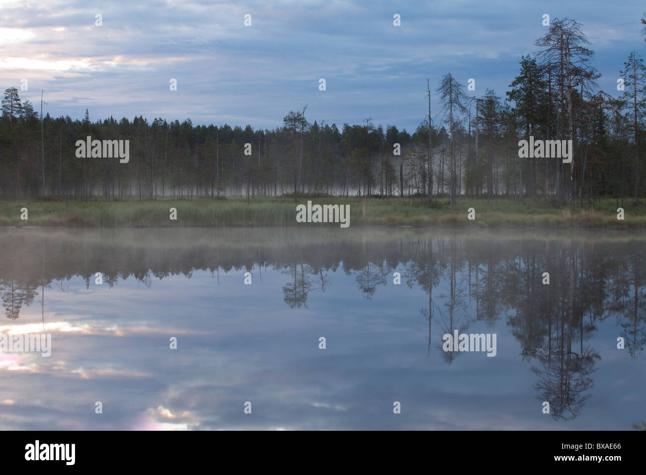 Lake in Varitus, Lentiira, Finland Stock Photo