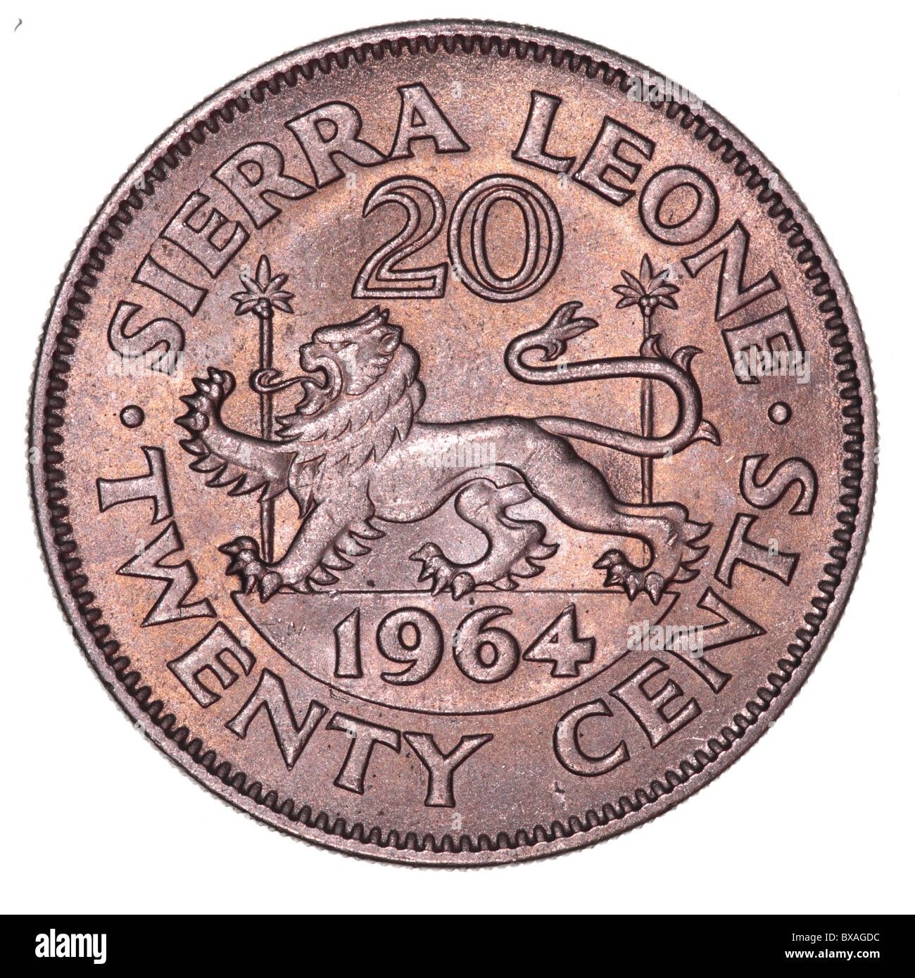 Sierra Leone 20 cent coin (1964) reverse featuring a lion passant Stock Photo