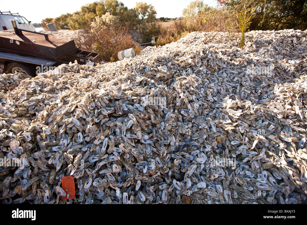 Oyster shells piled up at Bowen's Island restaurant along the Folly
