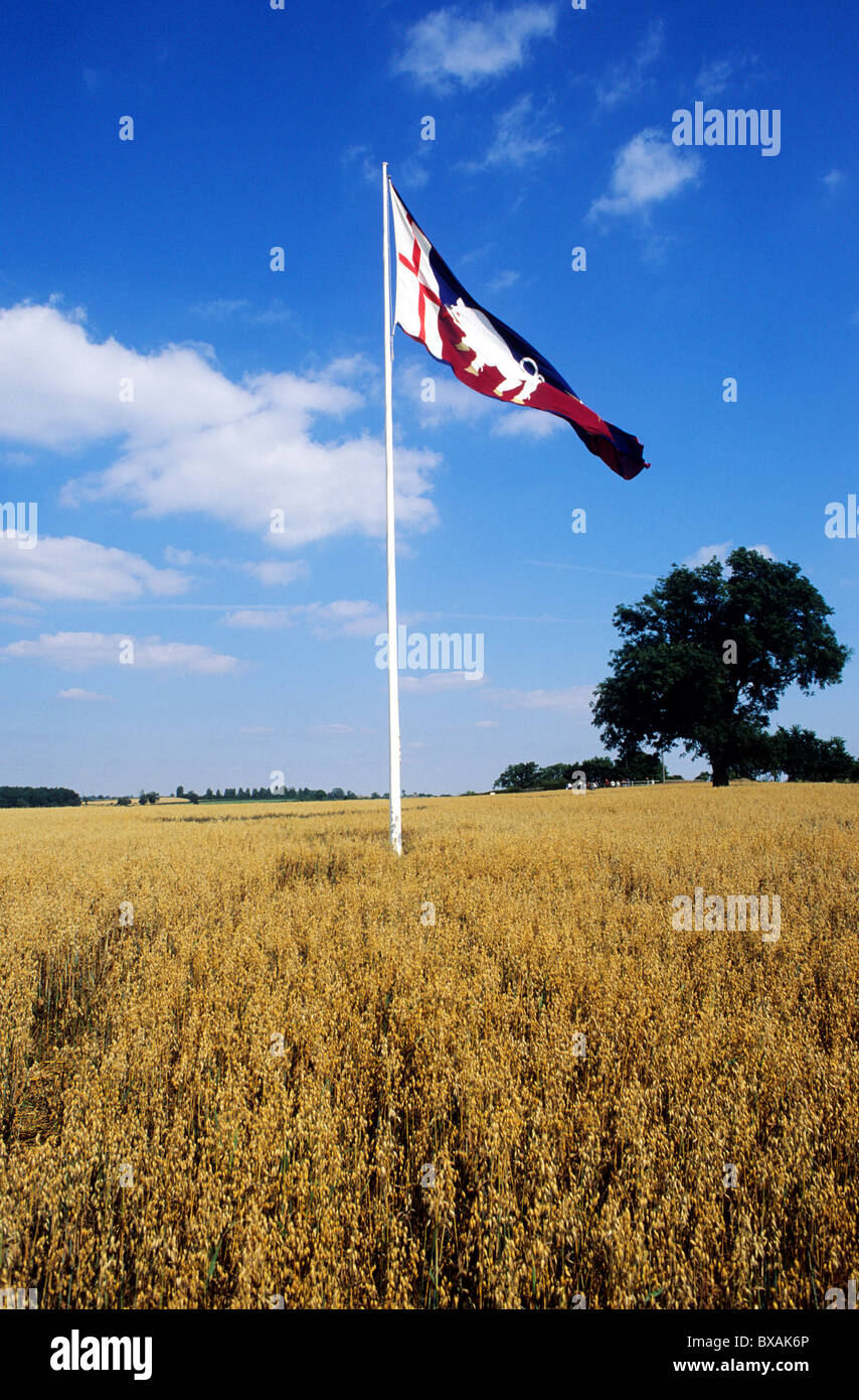 Bosworth Battlefield, King Richard 3rd's Royal Standard, white boar white rose of the House of York Leicestershire England UK Stock Photo