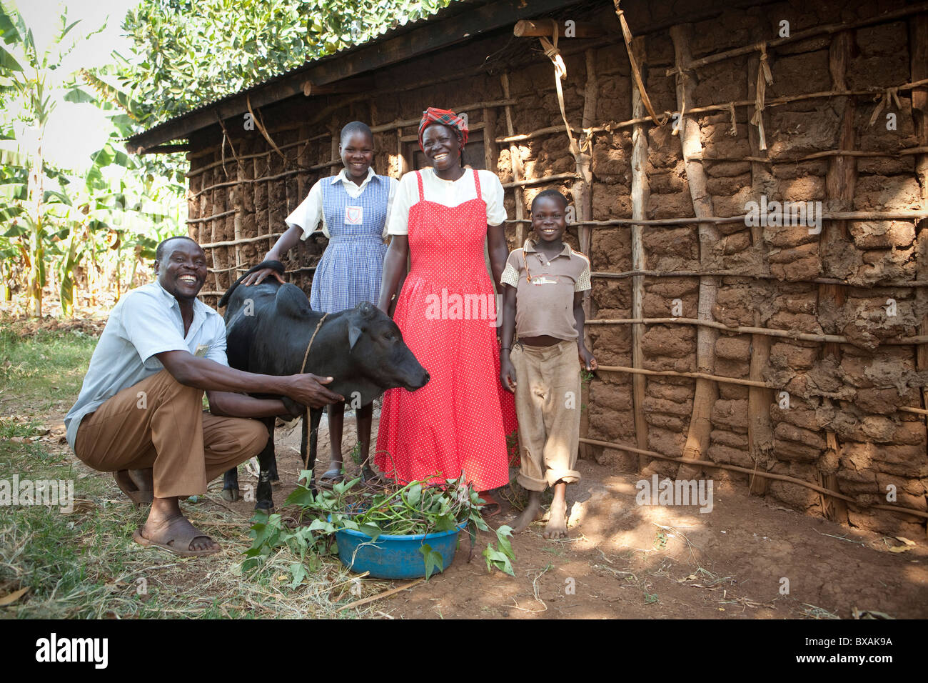 A Ugandan family stands outside their home with their cow in Buwanyanga Village - Sironko, Eastern Uganda, East Africa. Stock Photo