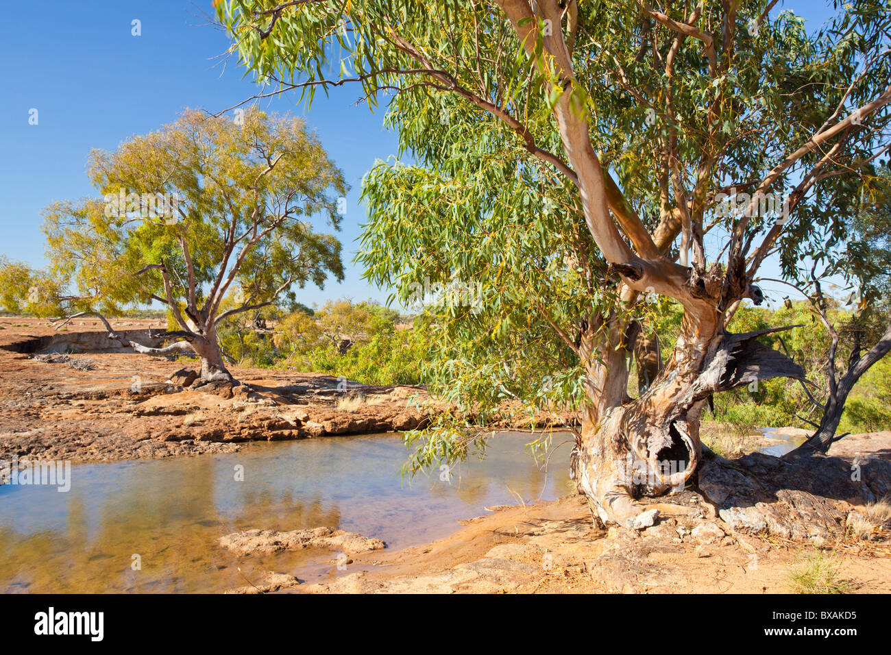 Arid gibber plains hires stock photography and images Alamy
