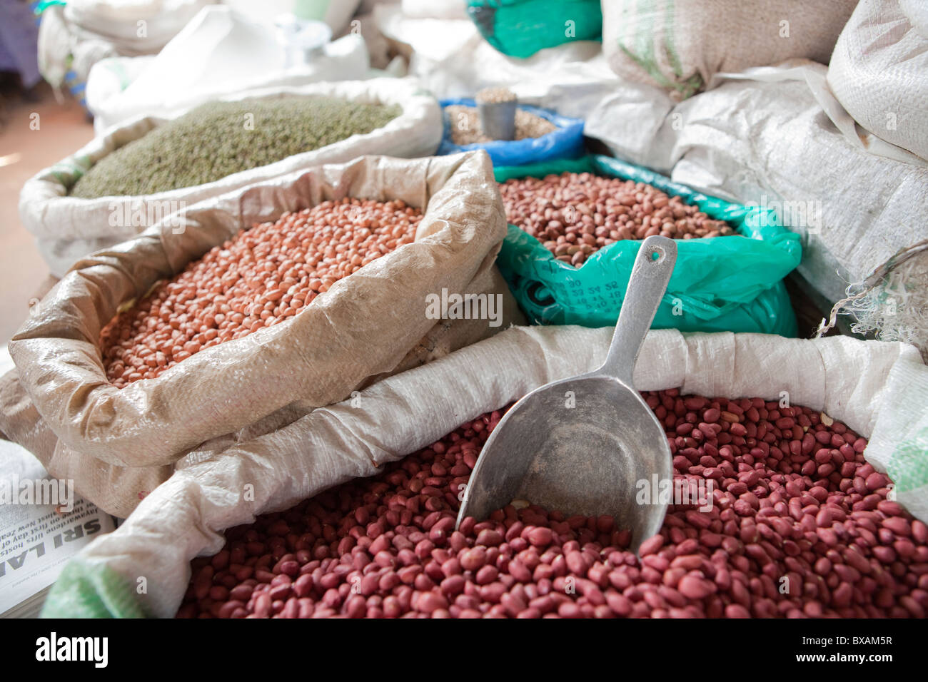 Nuts, legumes and peas are for sale in Iganga's central market - Iganga, Uganda, East Africa. Stock Photo