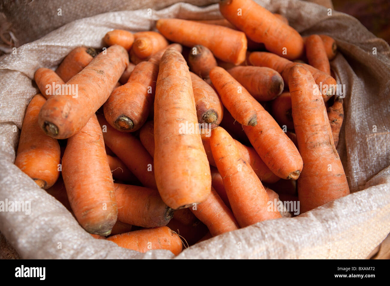 Carrots are for sale in Iganga's central market - Iganga, Uganda, East Africa. Stock Photo