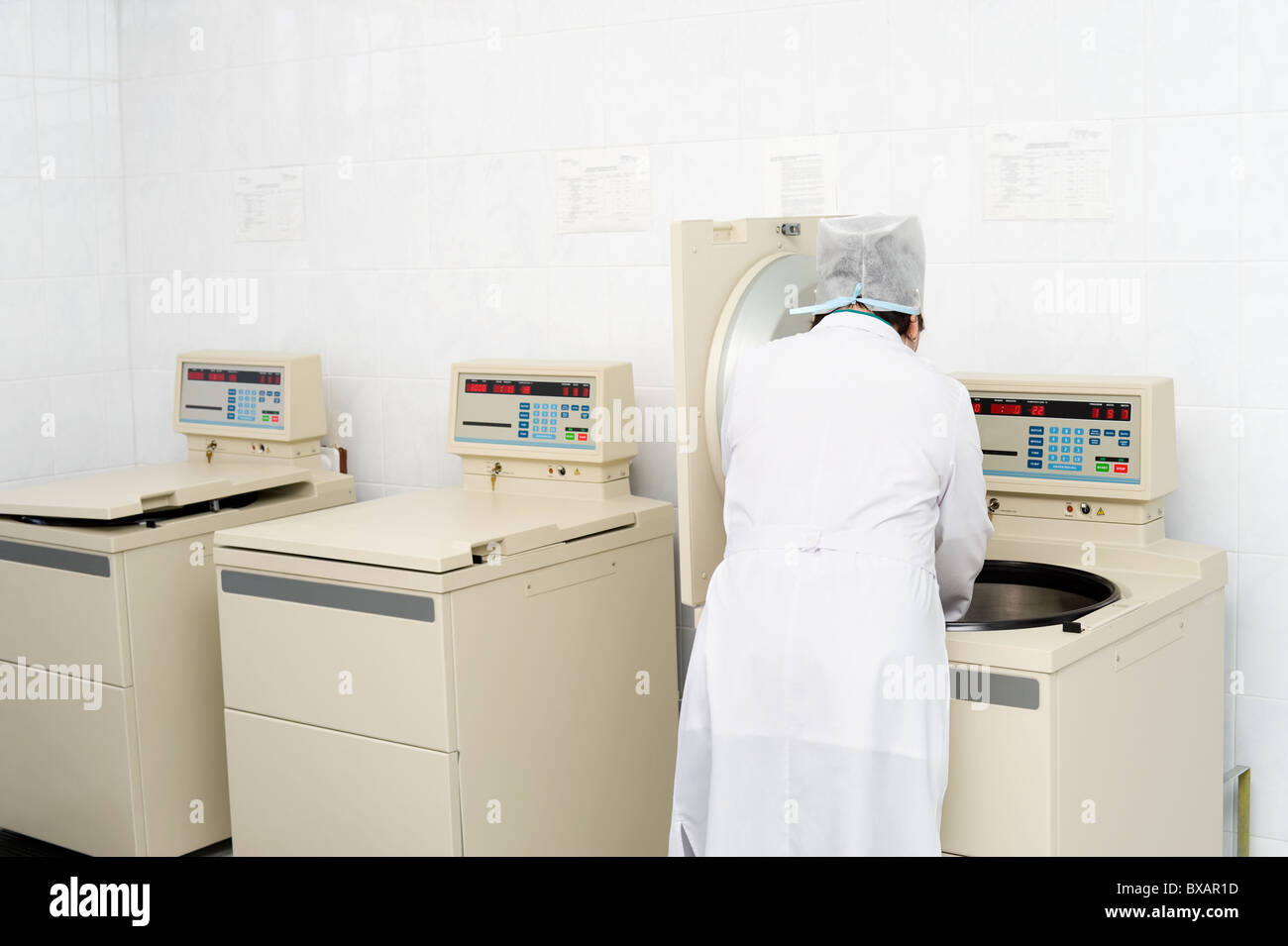 a nurse puts blood containers into a plasma centrifuge Stock Photo