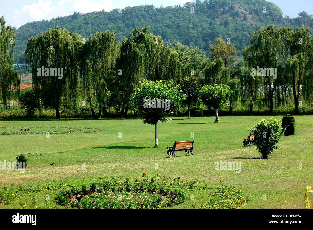 Shalimar Bagh, Kashmir,india Stock Photo Alamy
