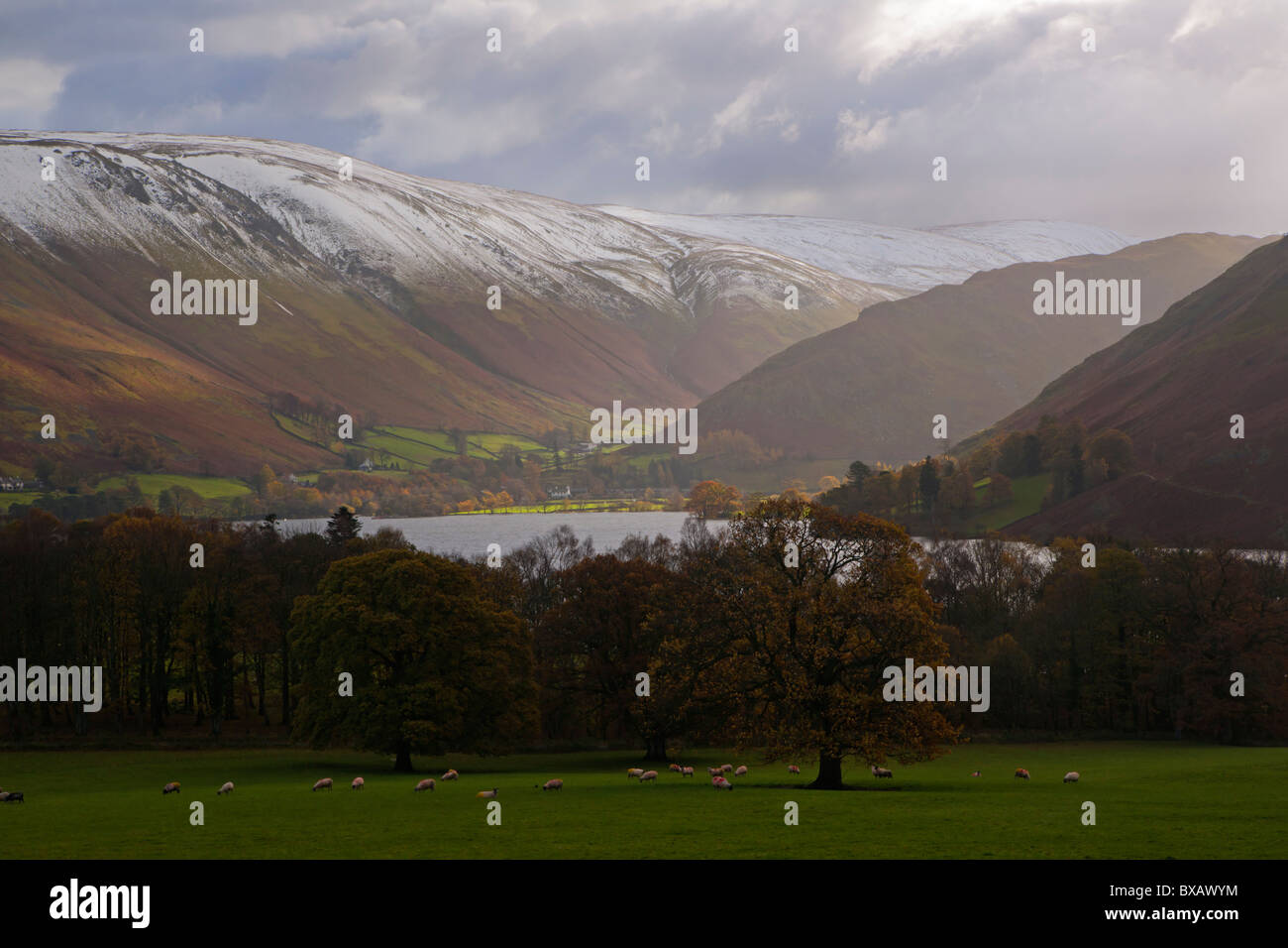 Watermill Lock Looking to Ullswater from Watermillock, Lake district, Cumbria, England ...