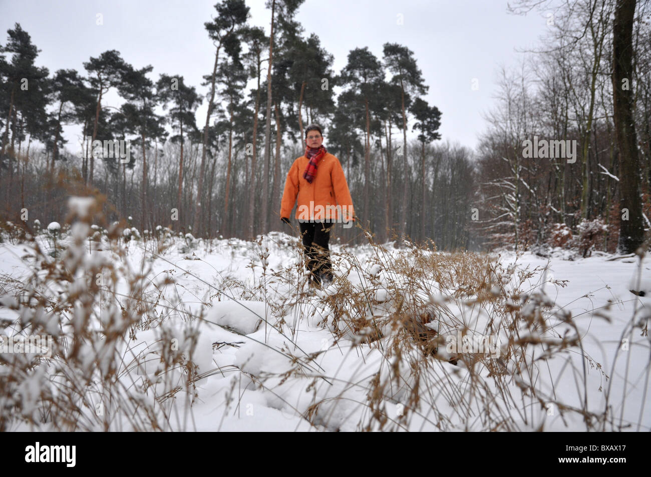 Senior woman strawling in snowy fields Stock Photo