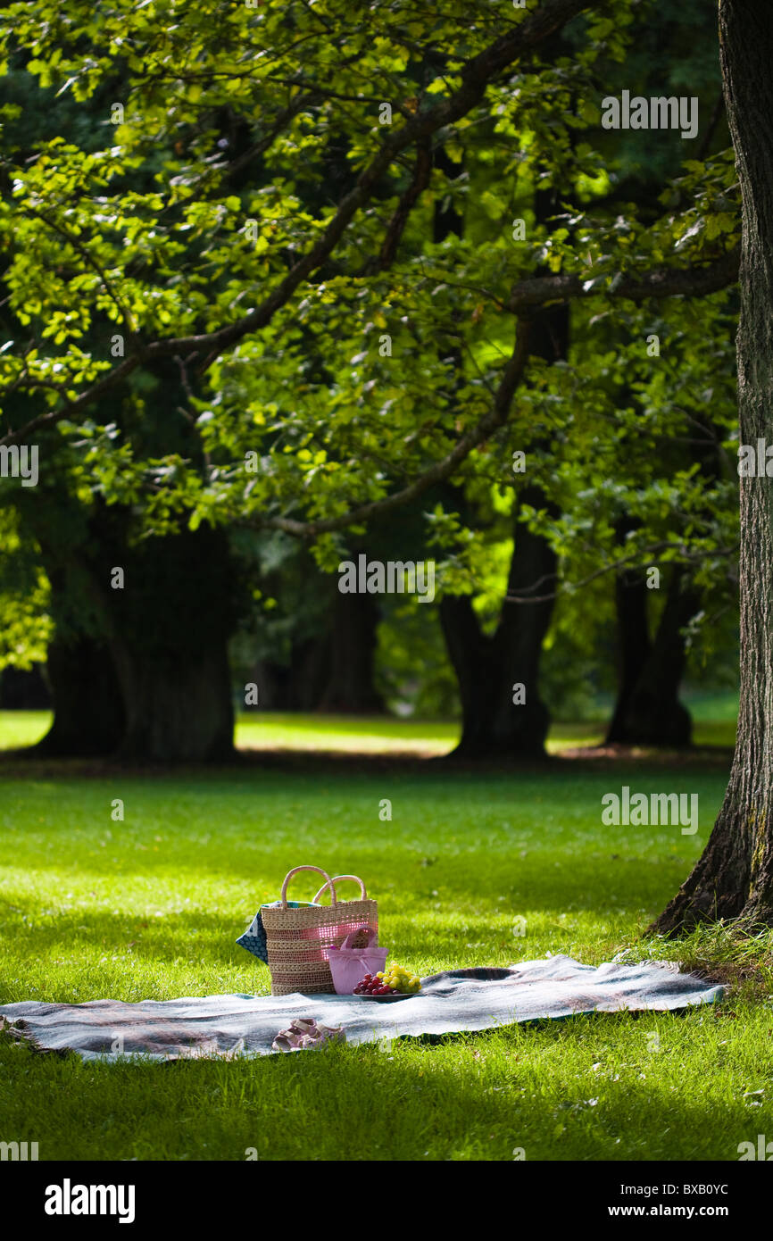 Picnic hampers park people hi-res stock photography and images - Alamy
