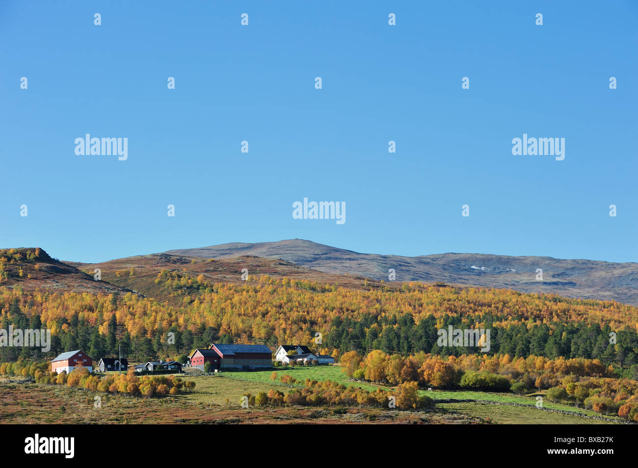 Farm on hill Stock Photo - Alamy