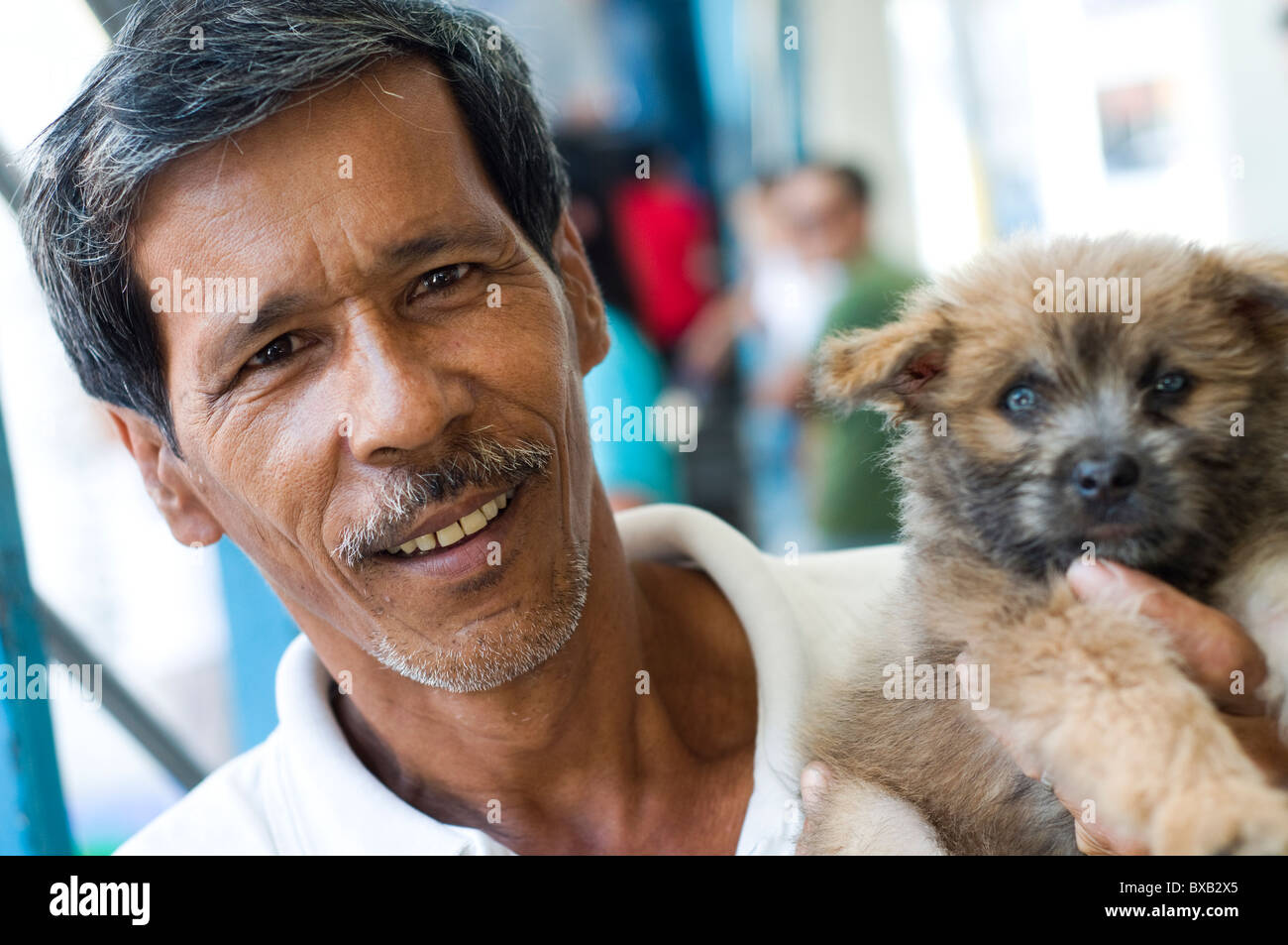 dog hawker, uptown, cebu city, philippines Stock Photo Alamy