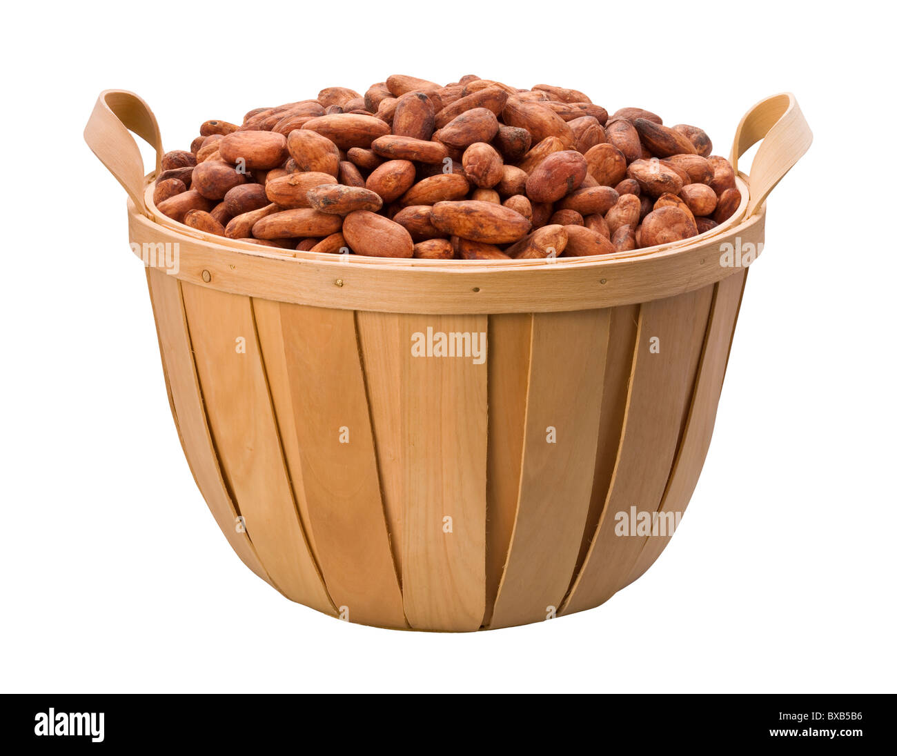 Cocoa Bean Basket isolated on a white background Stock Photo