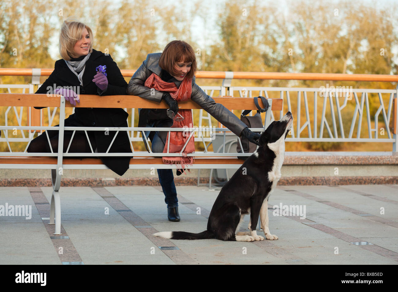 Two young women with a stray dog Stock Photo - Alamy