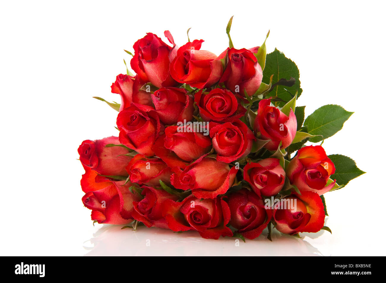 Bouquet with twenty beautiful red roses isolated over white Stock Photo ...