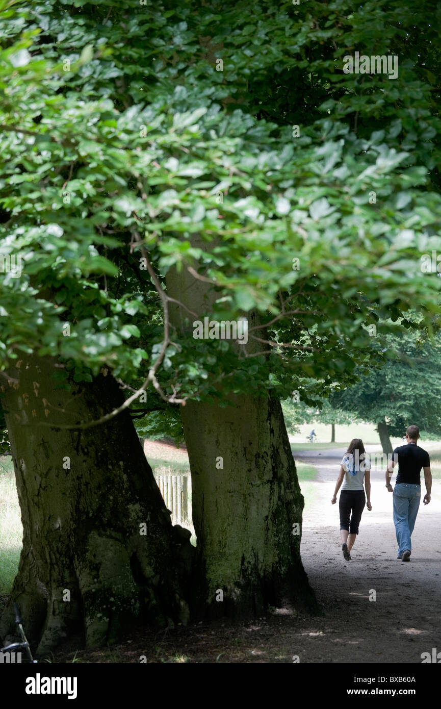 Couple walking on pathway, trees in foreground Stock Photo