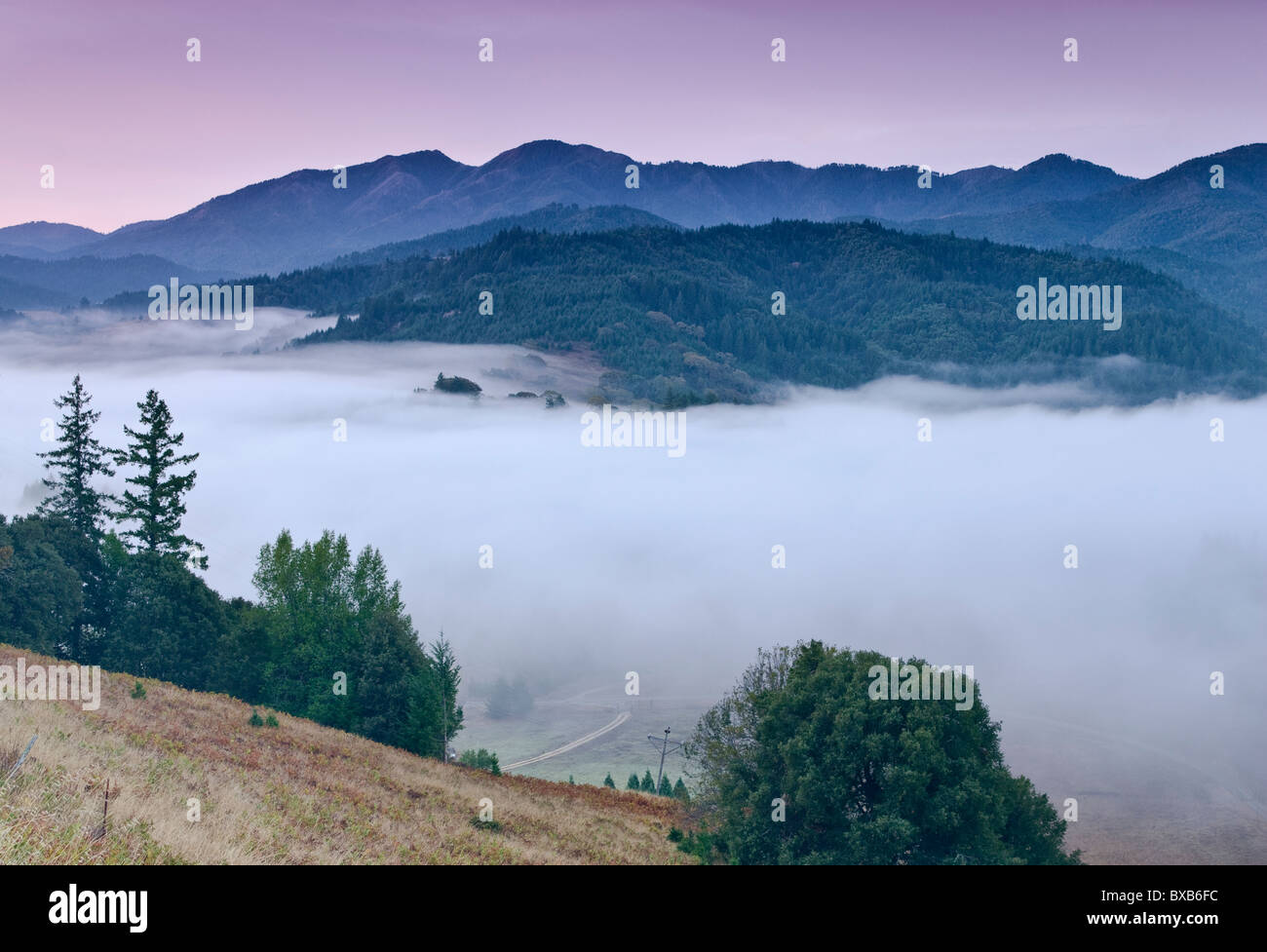 Morning fog coming from ocean at hills over Mattole River near Honeydew at Lost Coast, California, USA Stock Photo