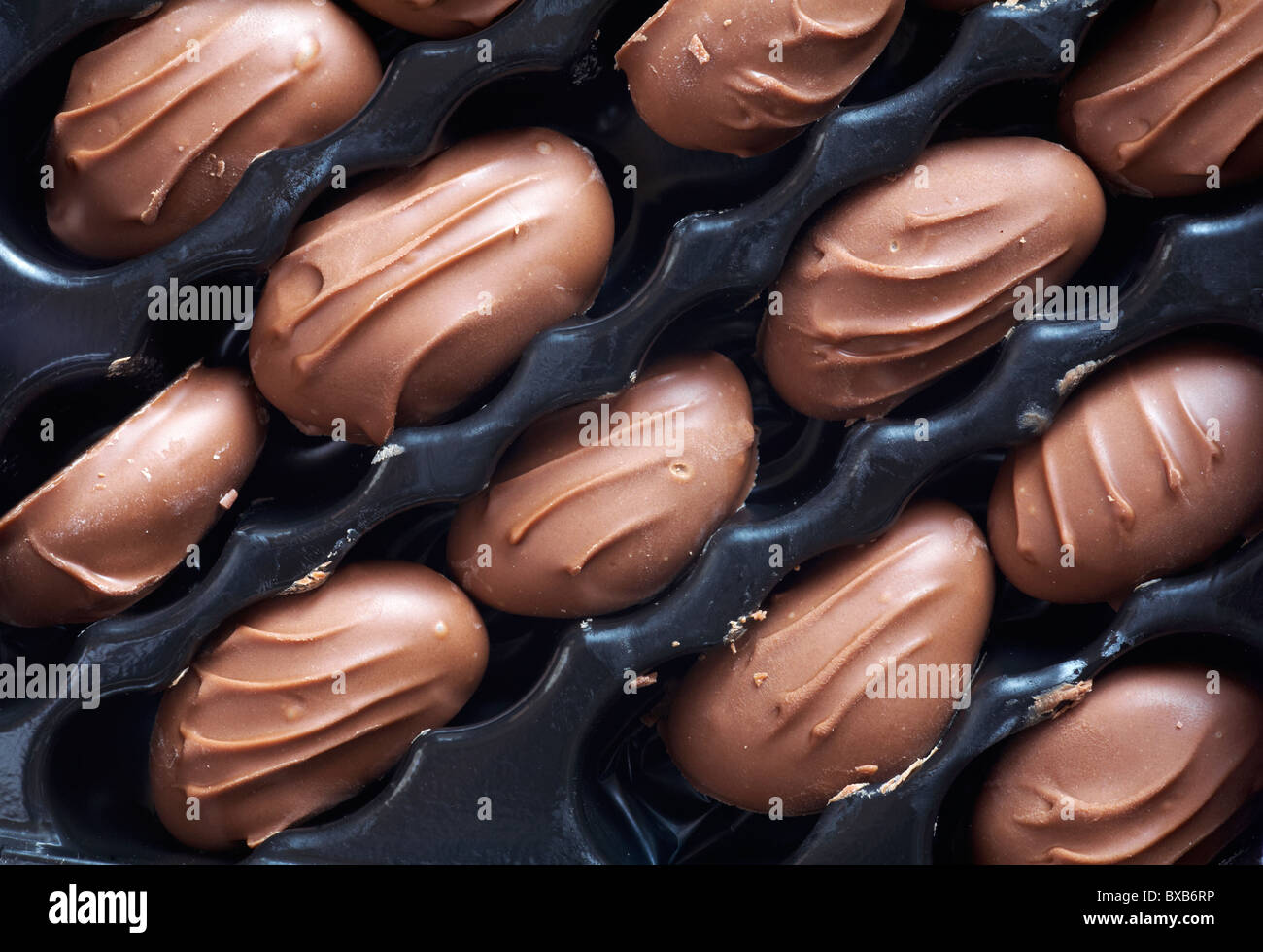 Milk Chocolate covered brazil nuts Stock Photo