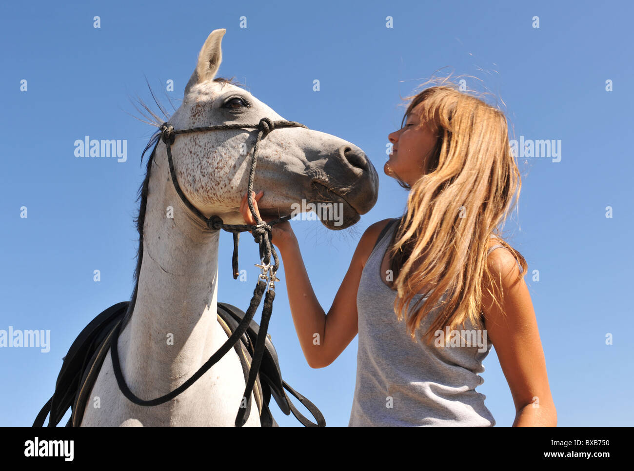 young girl and her best friend arabian horse Stock Photo
