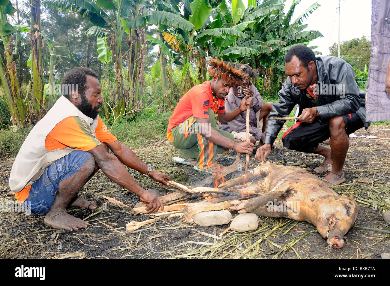 Danis, Papuas, slaughtering a pig on the market place of Wamena, Baliem Valley, West Papua, former Irian Jaya Stock Photo
