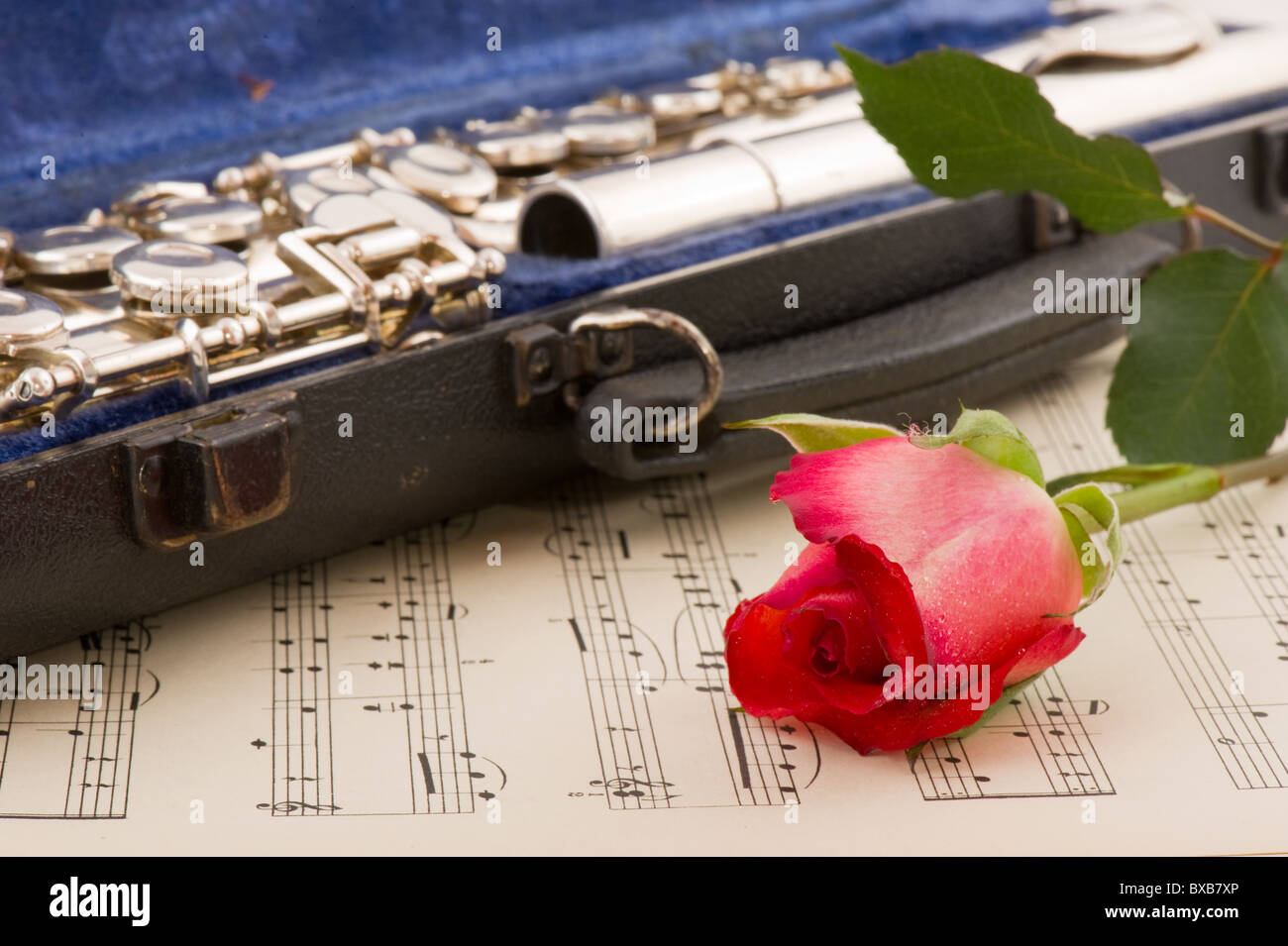 Black case with silver flute in blue velvet Stock Photo Alamy