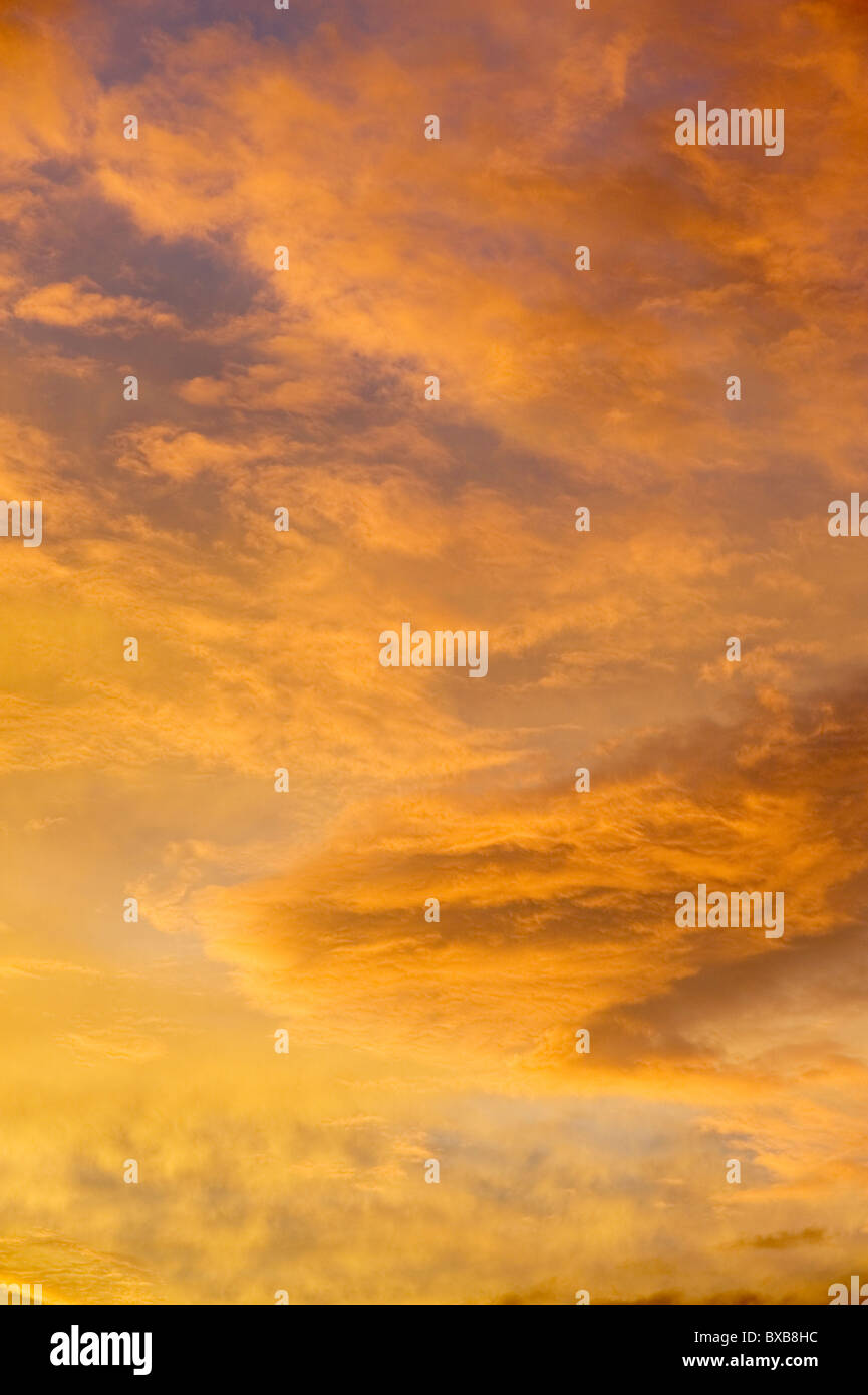 Golden glow in the sky hi-res stock photography and images - Alamy