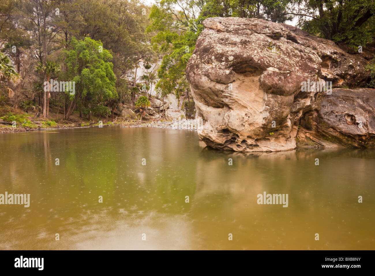 Rock Pool in the rain, Carnarvon National Park, Injune, Queensland Stock Photo Alamy