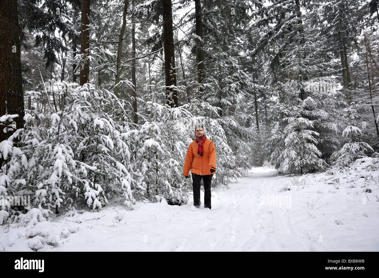 Senior woman walking in snowy forest Stock Photo