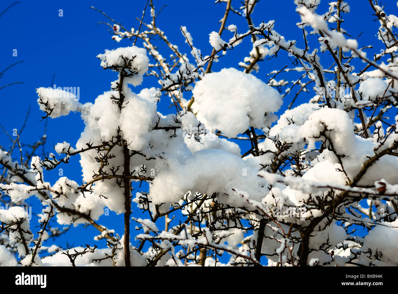 winter snow scene england uk Stock Photo - Alamy