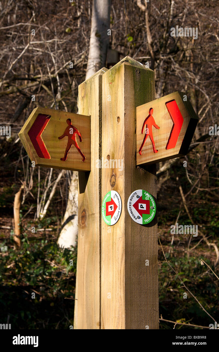 Way-markers for the various sign-posted walks in The Wenallt beech woods near Rhiwbina Cardiff Stock Photo