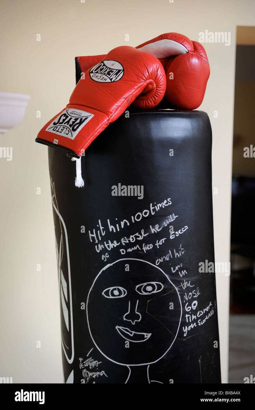 Boxing gloves and punch bag at the home of boxing champion Joe Calzaghe near Blackwood South Wales 2008 Stock Photo