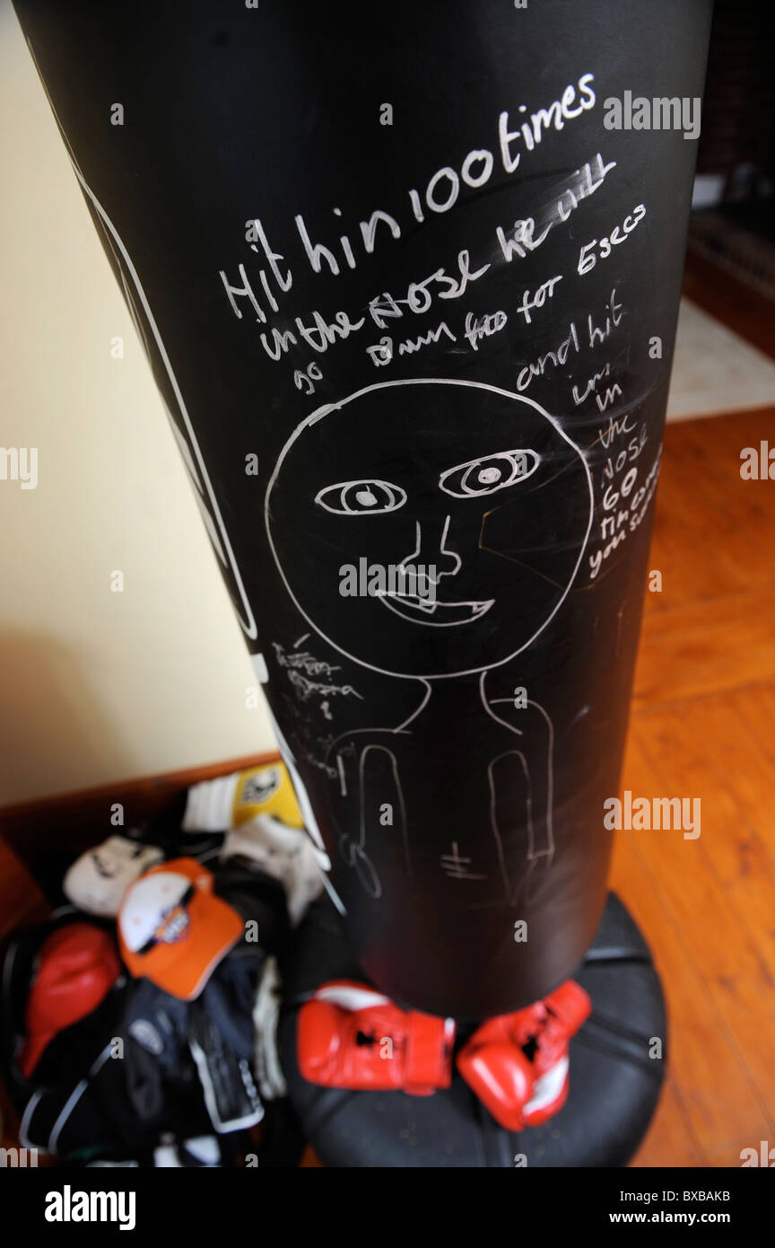 Boxing gloves and punch bag at the home of boxing champion Joe Calzaghe