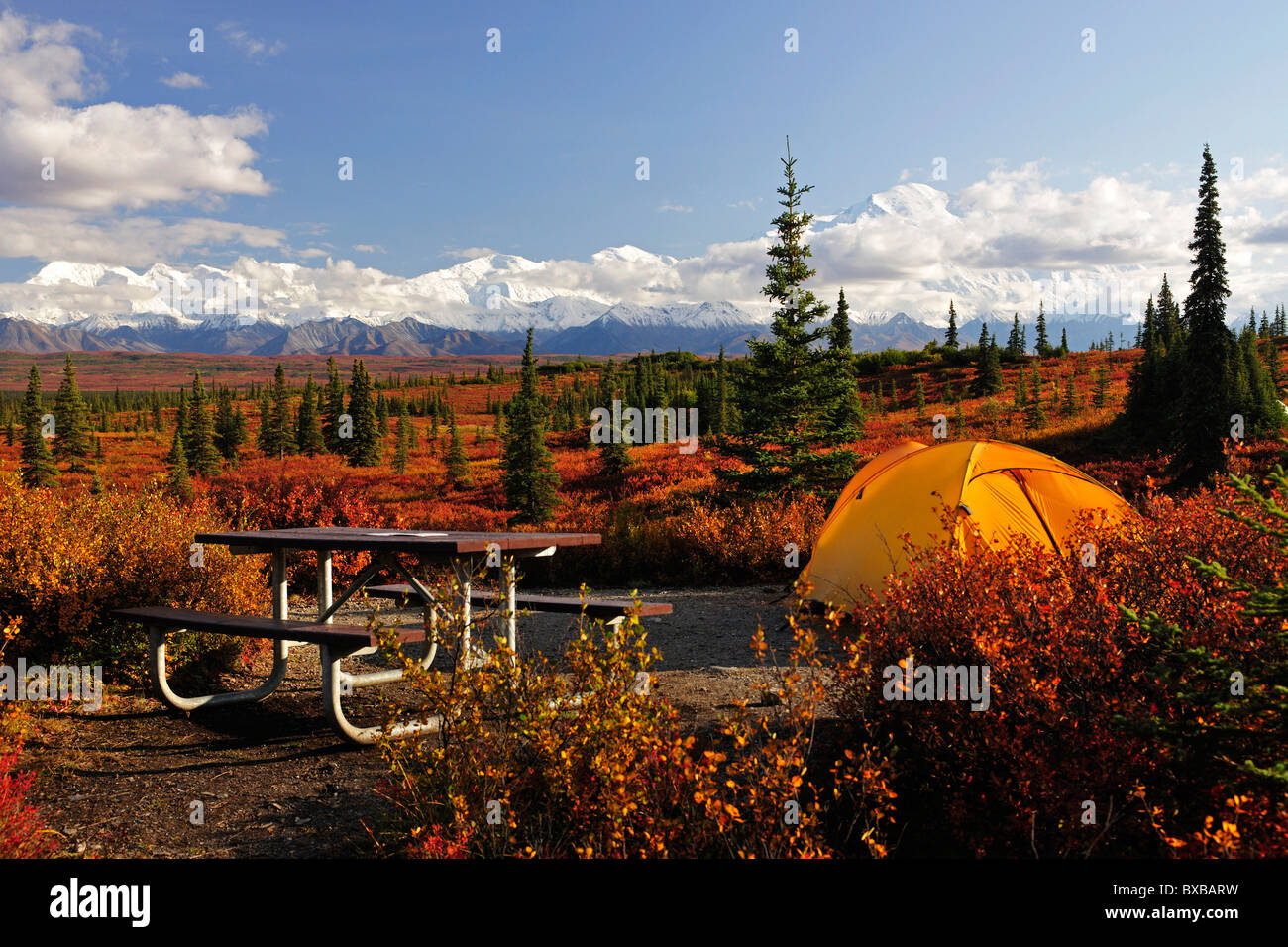 Camping on the Wonderlake Campground, Alaska Range, Mt McKinley in the back, Denali National Park, Alaska Stock Photo