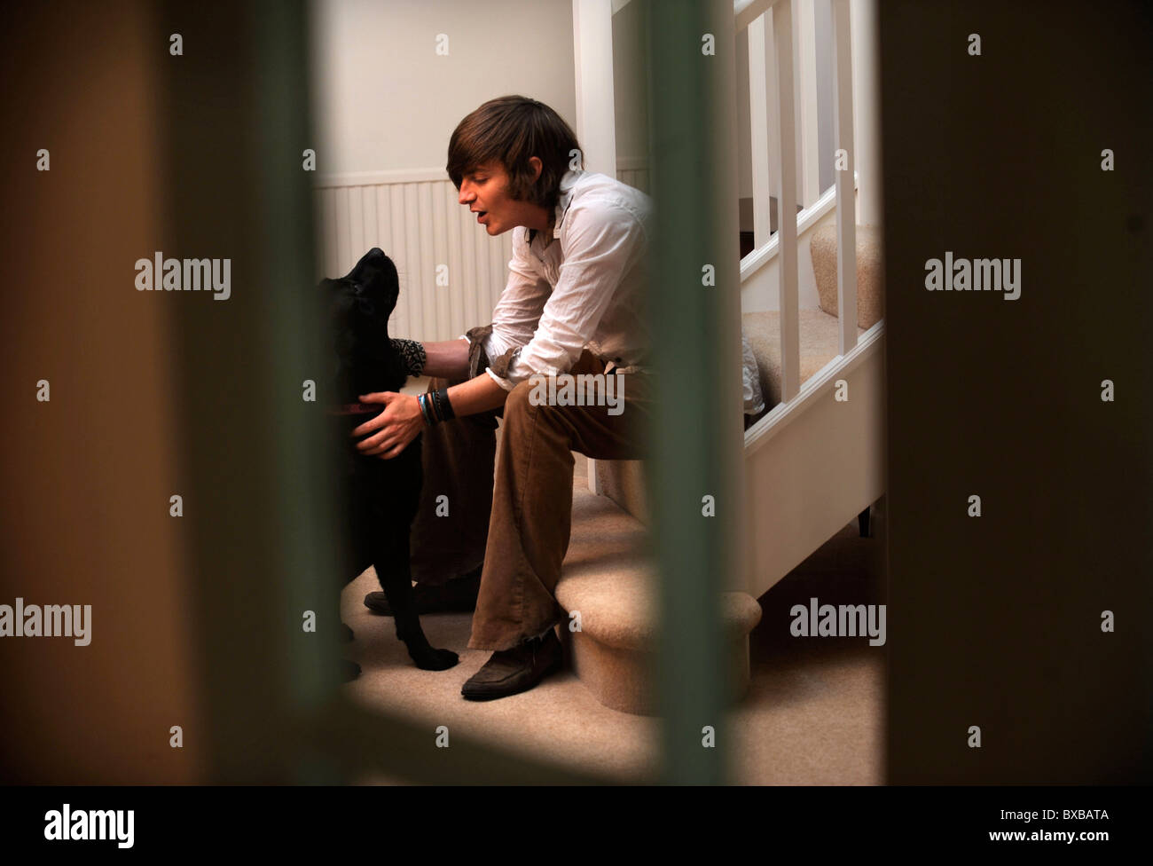 A teenage boy sitting on the stairs with the family dog UK Stock Photo