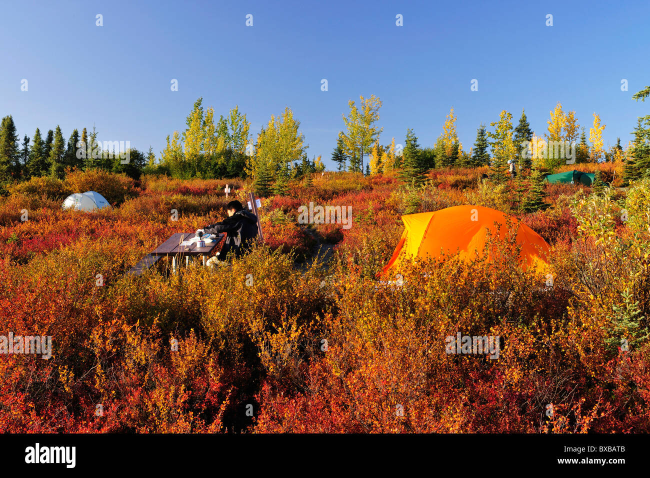 Camping on the Wonderlake Campground, Alaska Range, Mt McKinley in the