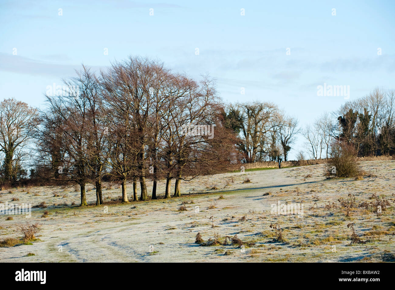 The Cotswolds Way at Haresfield Hill, Gloucestershire, England, United Kingdom Stock Photo