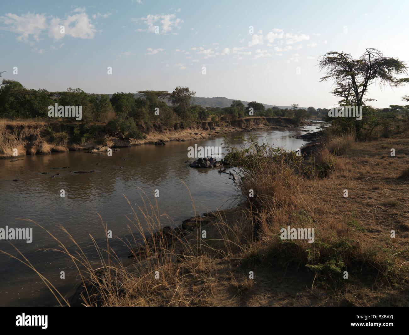 Pond in Kenya Africa Stock Photo Alamy