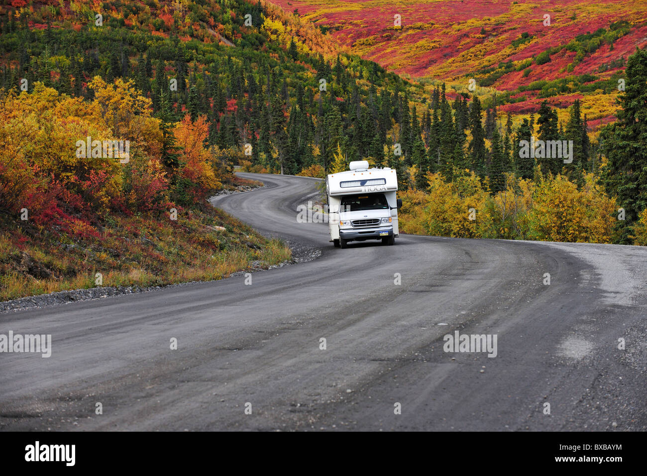 Motorhome driving through the Denali National Park, Alaska Stock Photo